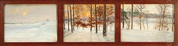 Paisajes Invernales - view 1