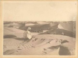 Chameliers Dans Le Desert