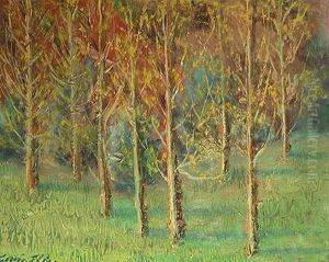 Reco Del Pollaneres
. by Elias Garcia