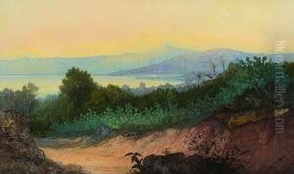 Mexikanische
Kustenlandschaft. - view 1