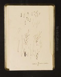AEoebrotes De PlantasaE by Federico Garcia Lorca