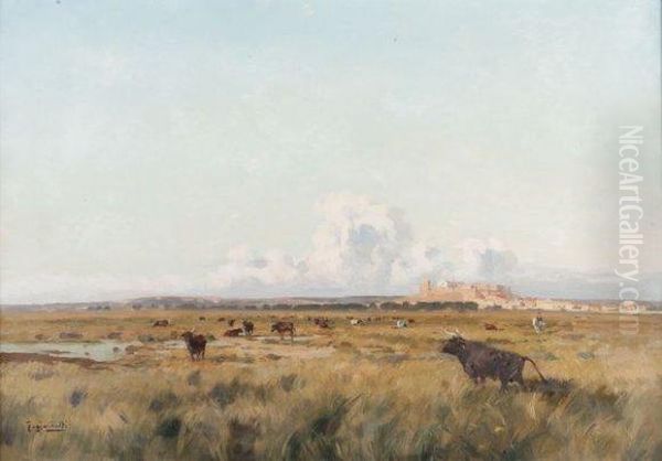Taureaux En Camargue. - view 1