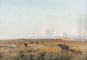 Taureaux En Camargue.