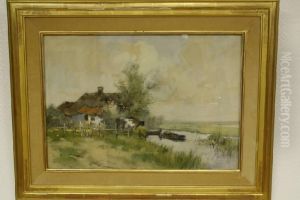 Boerderij En Vee Langs Poldersloot