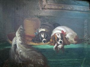 The Cavalier Pets