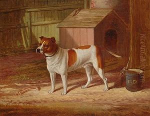 'boxer': A Terrier Outside His Kennel
