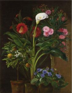 Orange Tree, Streptocarpus, Oleander, A Calla Lily And Cactusflowers by Louise Garleib