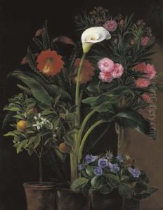 An Orange Tree, Streptocarpus, Oleander, A Calla Lily And Cactus Flowers