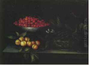 46,5 X 65 Cm by Francois Garnier