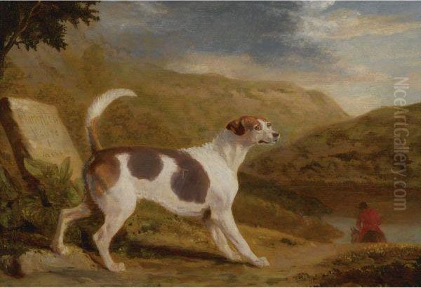 Colonel Thornton's Hound 'lucifer' In A Scottish Landscape - view 1