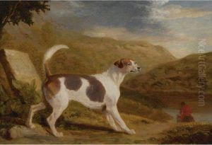 Colonel Thornton's Hound 'lucifer' In A Scottish Landscape