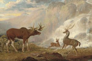 The Earl Of Orford's Elk From Norway