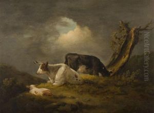 Cattle Resting By An Old Tree