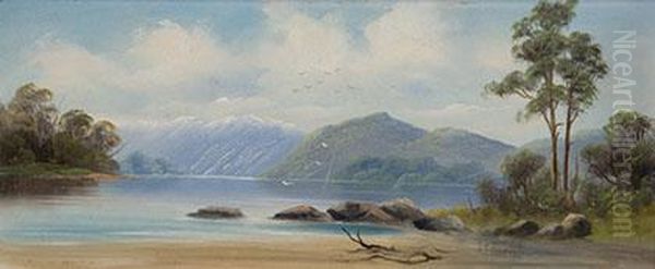 South Island Scene - view 1