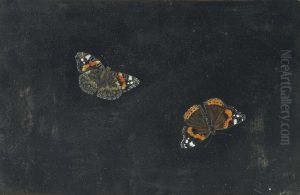 Two Butterflies by Giovanna Garzoni