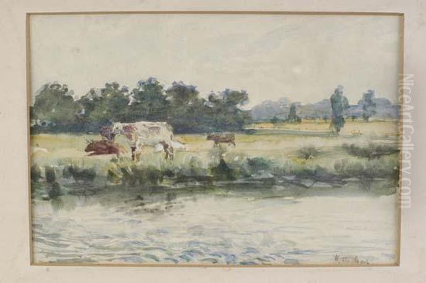 Summer River Landscape With Cattle Grazing - view 1