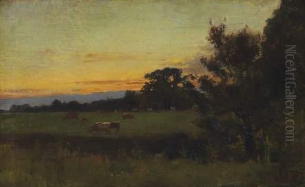 Prairie Au Coucher Du Soleil - view 1