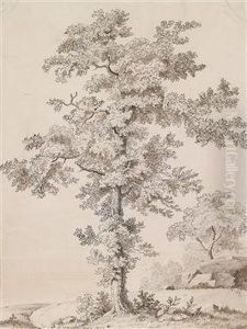 Grose Baumstudie by Friedrich Gauermann