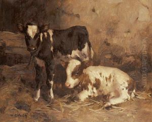 Two Calves In A Byre