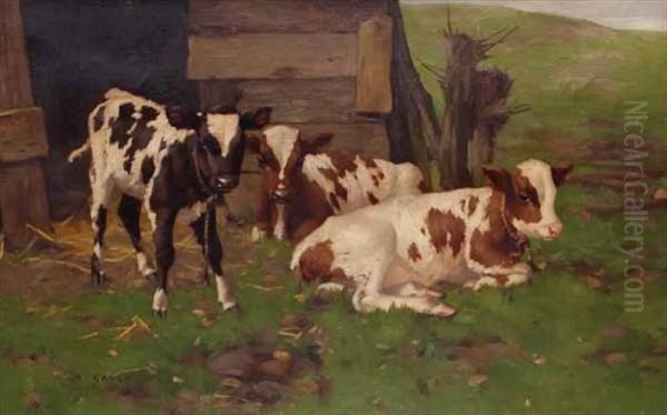 Three Calves - view 1