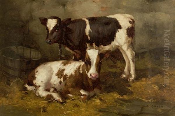 Two Calves - view 1