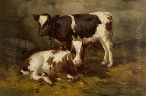 Two Calves