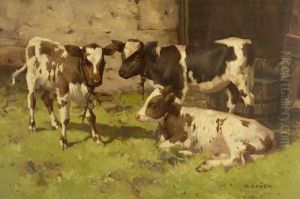 Three Calves by David Gauld