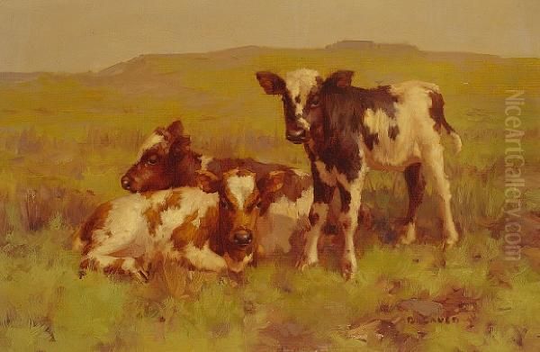 Three Calves On A Hillside - view 1