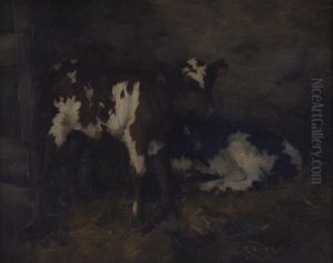 Calves In A Stable Interior