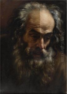 Head Of An Old Man