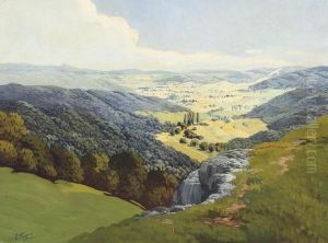 A Valley In Summertime by Alexandre Fedorovich Gaush