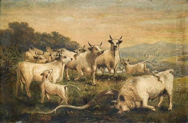 The Chillingham Herd - view 1