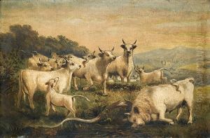 The Chillingham Herd The Chillingham Herd