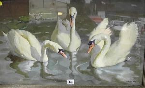 Three Swans