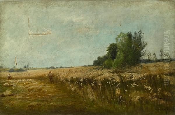 Harvesting Wheat - view 1