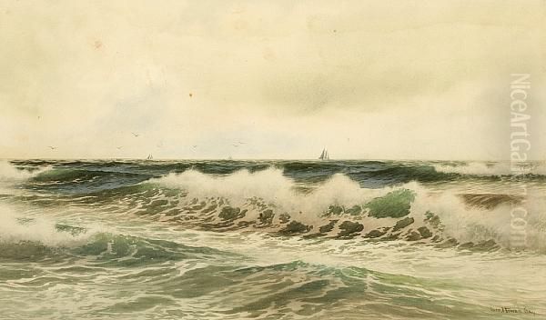 Waves Rolling Onto The Shore - view 1