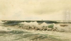 Waves Rolling Onto The Shore