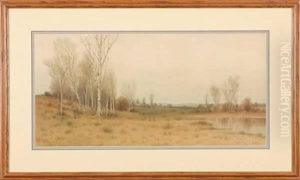 Landscape - view 1