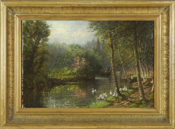 The Duck Pond - view 1