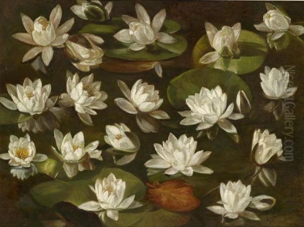 Water Lilies - view 1