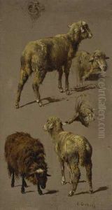 Schafstudien. by Friedrich Otto Gebler