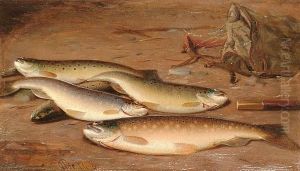 'beauties'. by William Geddes