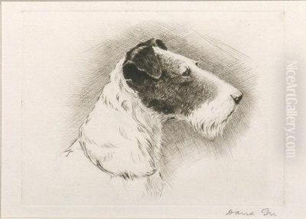 Study Of A Fox Terrier - view 1