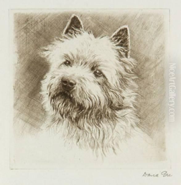 Portraits Of Dogs - view 1