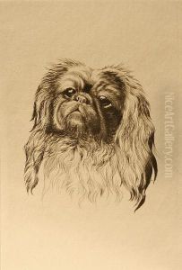 Studies Of Dogs Studies Of Dogs