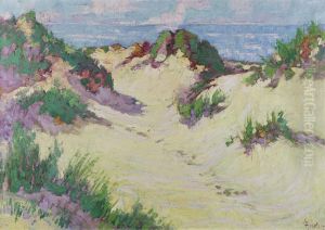 Dunes A La Panne Dunes A La Panne