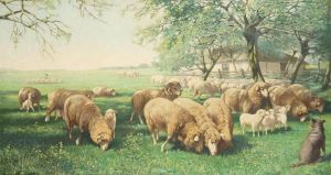 Sheep In The Meadow by Franz Geerts