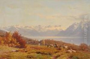 Blick Von Einer Anhohe Auf Den Genfersee Und Das Mont Blanc Massiv