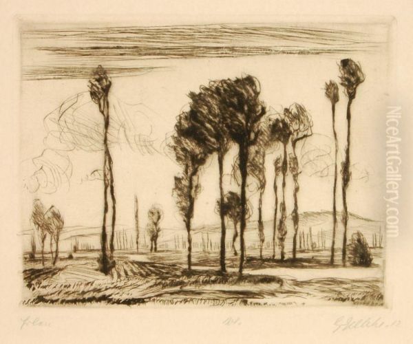 Erlen - view 1