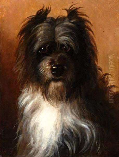 Terrier - view 1